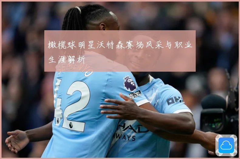 橄榄球明星沃特森赛场风采与职业生涯解析